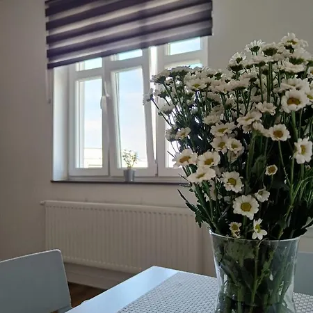 Blues Vandrerhjem Gdynia