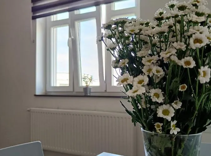 Blues 호스텔 그디니아